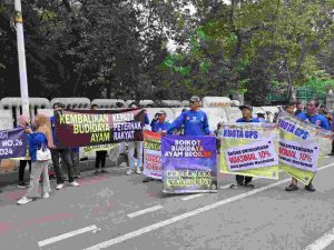 IMG-20251009-WA0599 (1)